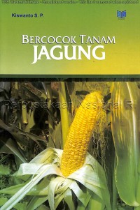 Bercocok tanam jagung